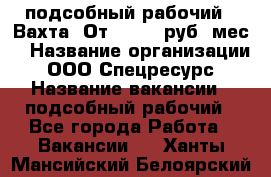 подсобный рабочий . Вахта. От 30 000 руб./мес. › Название организации ­ ООО Спецресурс › Название вакансии ­ подсобный рабочий - Все города Работа » Вакансии   . Ханты-Мансийский,Белоярский г.